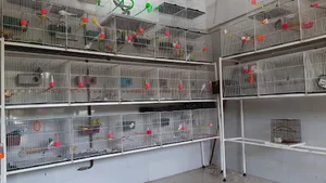 پرنده سرای سادات