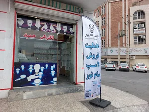 الکتریکی حمید