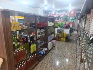سبزیجات آماده طبخ نارون 4