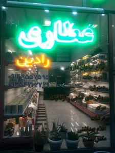 عطاری رادین
