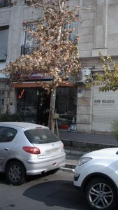 گل سرای آلسترو مریا