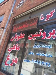پروتیین علویان نوروزی 3
