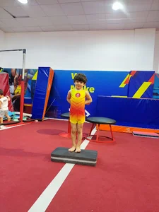 باشگاه ژیمناستیک آنیل