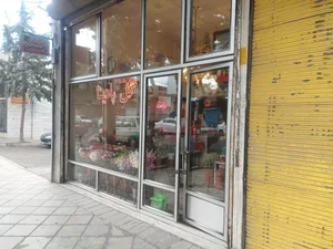 گلسرای پادینا 2