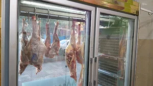پروتئنی جهاد (رضامحبت)
