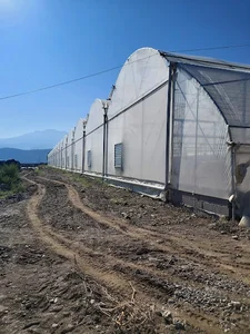 شرکت گلخانه سازی اگری پلاس