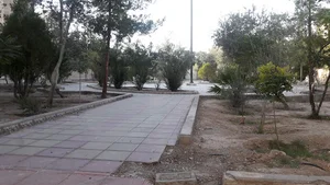 فضای سبز
