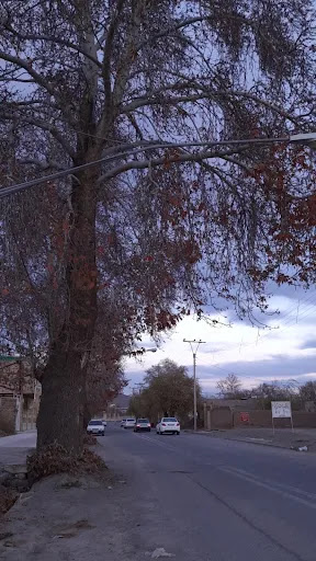 مسجد جامع بافت