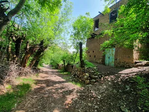 سفره در