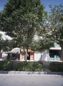 خدمات فنی نوین