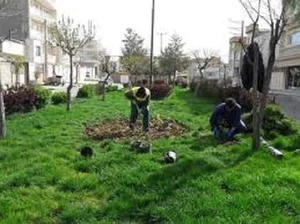 فضای سبز مسکن مهر