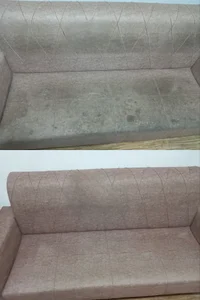 مبل‌شویی صدف