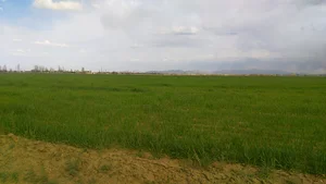 شرکت ساختمانی Amirreza