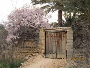 موسسه زبان شکوه شعبه خاوران