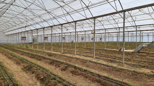 دهکده کشاورزی اگروفیل | Agrofeel agriculture village