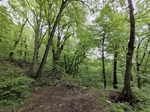 چشمه پیرزن