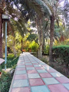 دانشکده فنی حرفه ای شهید چمران