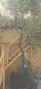 اقامتگاه بومگردی قصرالدشتی شیراز
