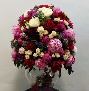 گل و گیاه اوپال