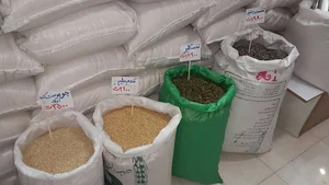 فروشگاه شالیزار گیلان