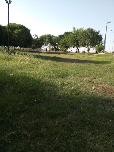 پارک دانشجو