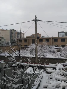 آکواریوم آنجل