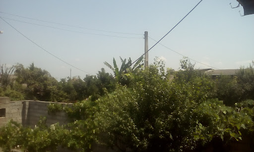 الماس سرخ
