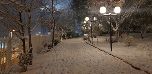 بوستان آ.اس.پ