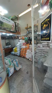 برنج شالیزار