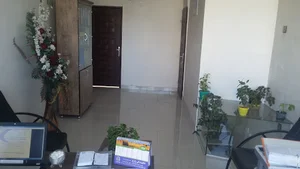 بیمه اسیا