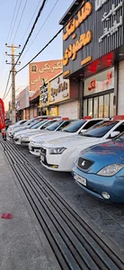 هلدینگ محمودی