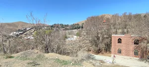معدن شجر