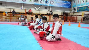 خانه تکواندو