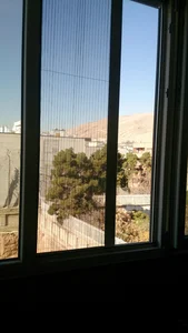 محسن قلندری