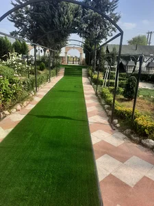 تالار تشریفات ژانیا
