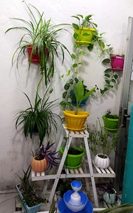 کافی نت پردیس