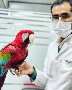 کلینیک دامپزشکی دکتر گل کار