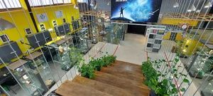 طلا سازی شیری