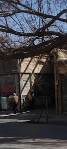 شرکت زرین عتیق پدیده اسپادانا