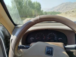 چشمه حیدر خان جونقان