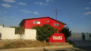 فودیک