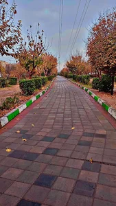 بوستان تلاش