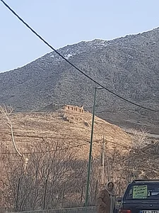 باغ شاهی