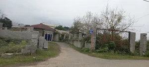 کوچه سوفیا