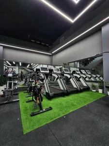 Dopamine Gym