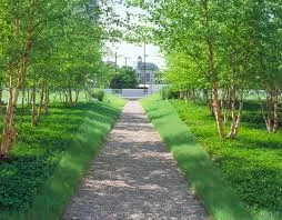 فضای سبز A3