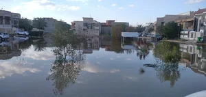 حي الجامعة