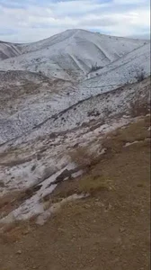 داروخانه دکتر شاهی