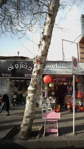 دخترونه 2