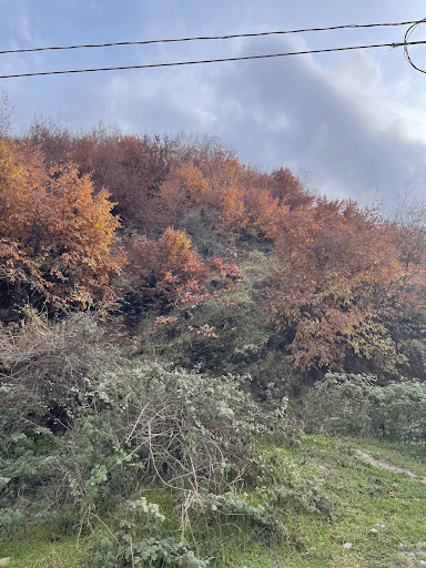 Gorgan nama